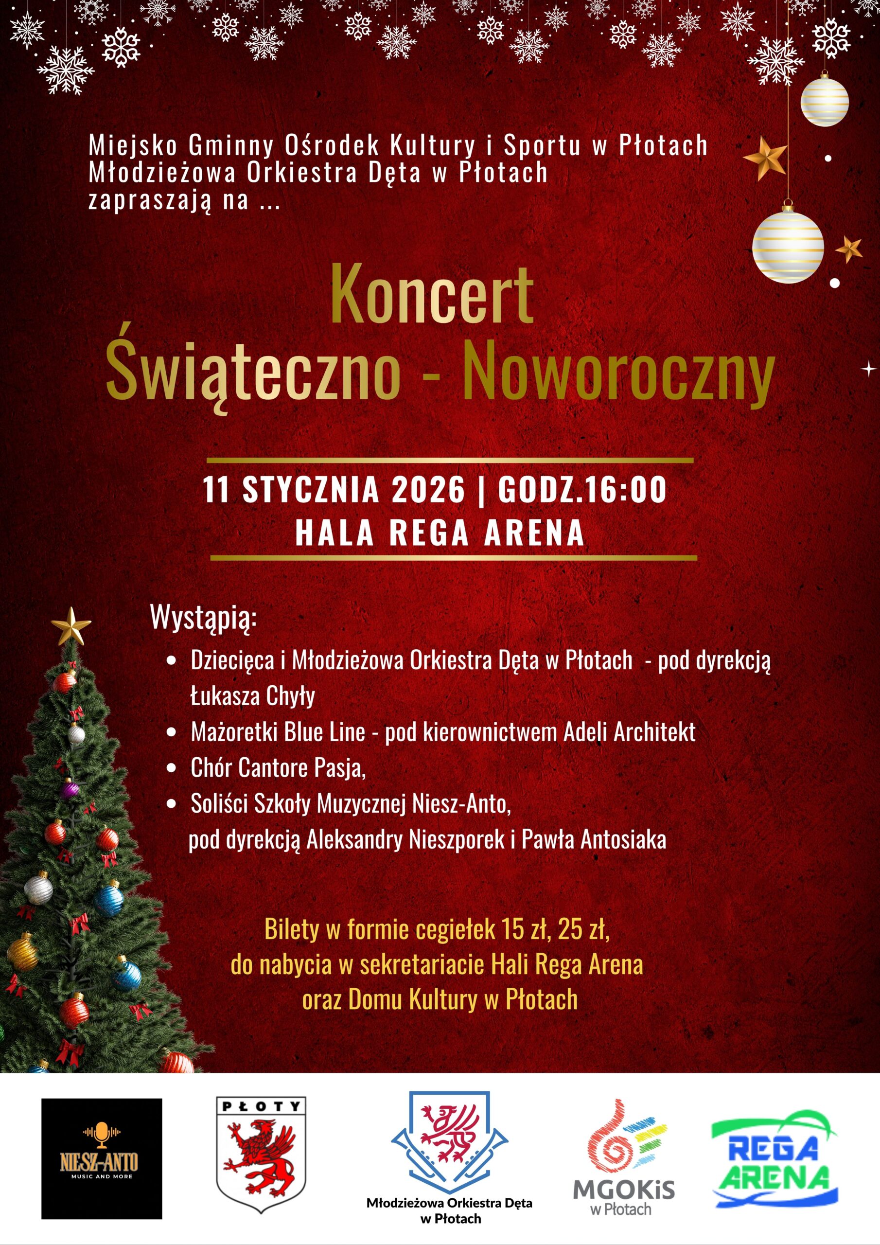 Koncert Świąteczno-Noworoczny Młodzieżowa Orkiestra Dęta w Płotach